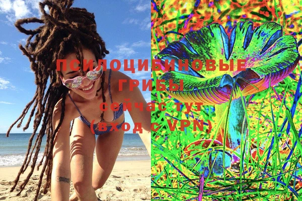 СК Вязники