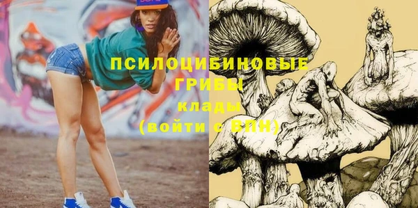 соль курить ск Вязьма