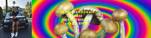 соль курить ск Вязьма