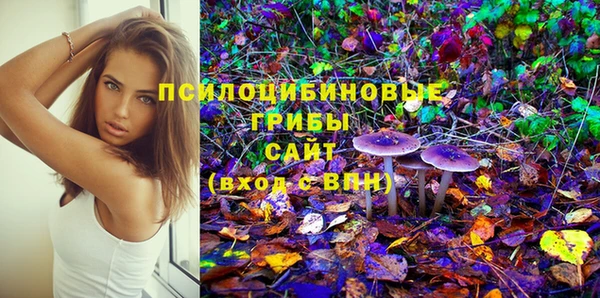 мет Вяземский