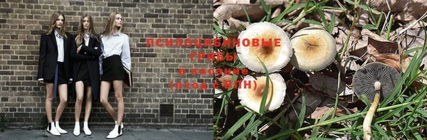 мет Вяземский