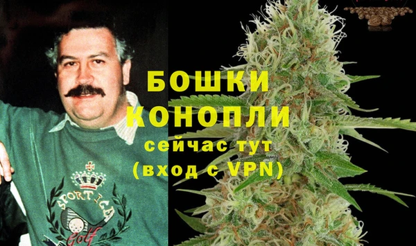 хмурый Сосновый Бор